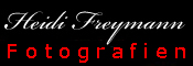 Heidi Freymann - Logo